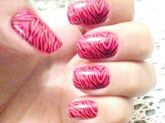 Cartela de películas zebra com fundo pink